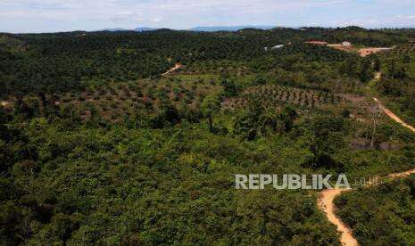Lansia Hilang di Hutan Konawe Ditemukan dalam Keadaan Lemas