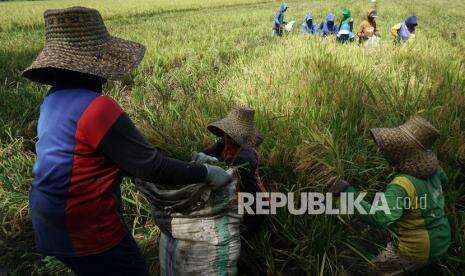 Koperasi Al Barokah Didorong Scale Up Lahan