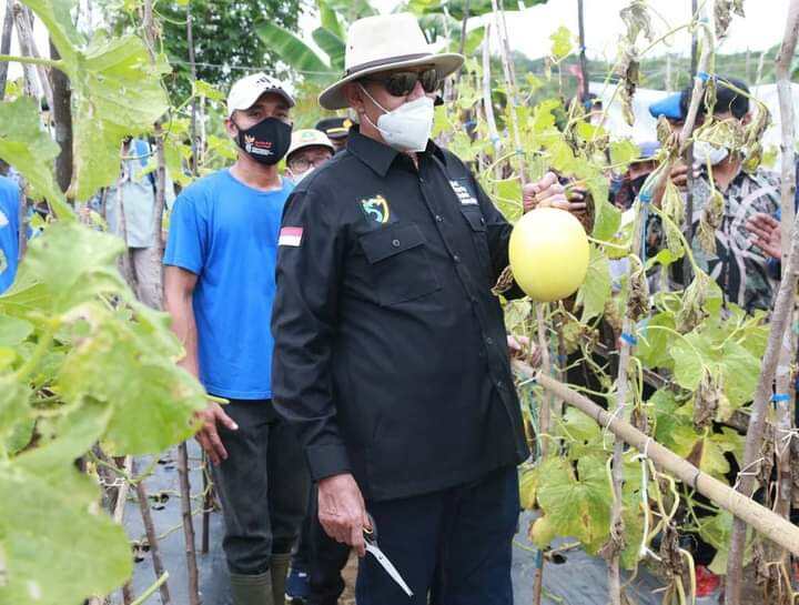 Perkebunan Melon Jadi Daya Tarik Wisatawan di Pantai Sawarna Lebak