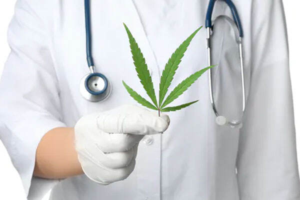 Malaysia Izinkan Penggunaan Ganja untuk Kepentingan Medis