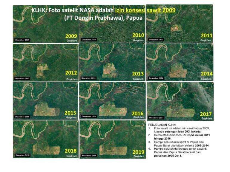 KLHK: Foto Satelit NASA Adalah Izin Sawit 2009