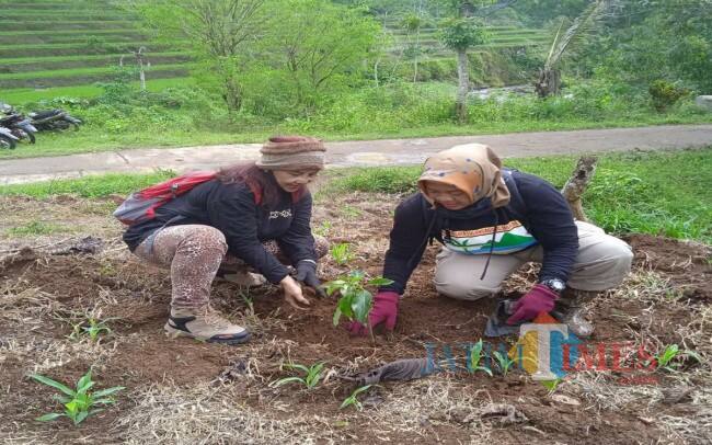 Tanam 2.000 Pohon di Mata Air Jumuk, Belasan Komunitas dan Lintas Perguruan Silat di Tulungagung Kompak Terjun Lokasi