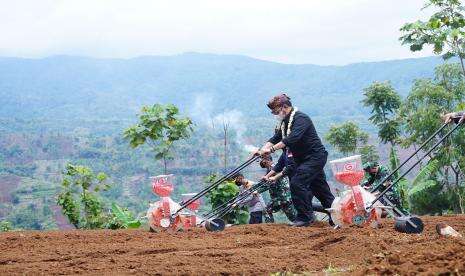 In Picture: Mentan Hadiri Gerakan Olah Tanam Jagung di Garut