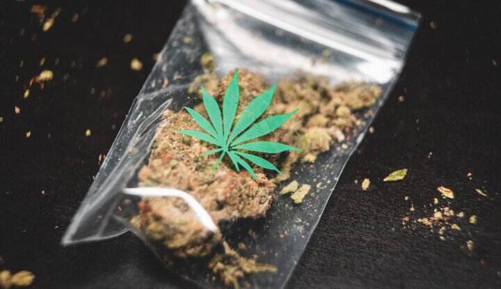Wah, Negeri Jiran Sudah Kasih Lampu Hijau untuk Penggunaan Ganja