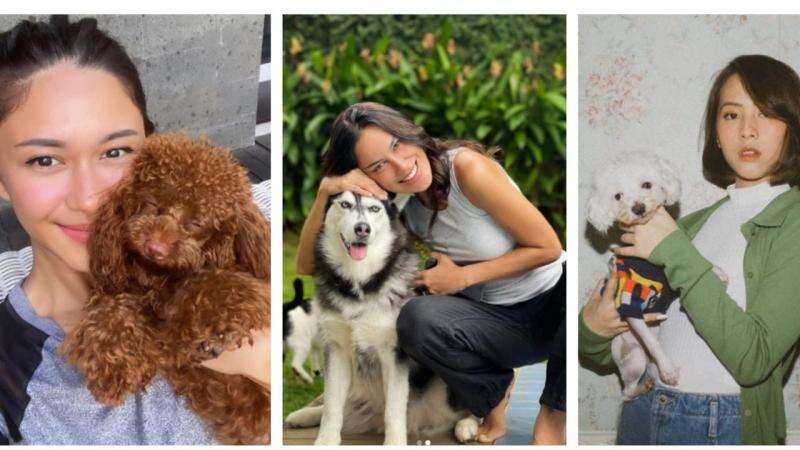 5 Artis Cantik Penyuka Anjing, Nomor 4 Dijuluki Malaikat Penyelamat dan Berniat Bangun Shelter