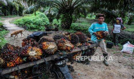 Klaster Perkebunan Picu Kenaikan Covid-19 di Belitung