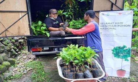 Kembangkan Potensi Desa, Rumah Zakat Tanam 500 Bibit Kopi