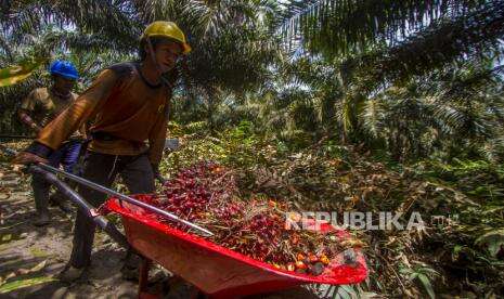 Rektor IPB Bicara Prospek Produk Turunan Sawit Indonesia