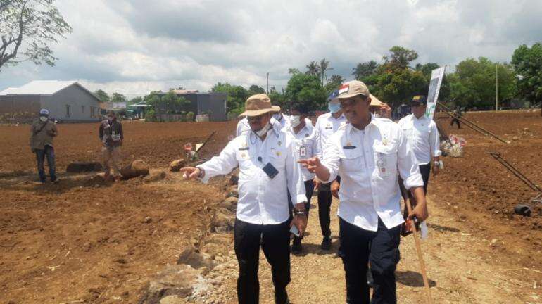 Kementan Pastikan Stok Jagung Nasional Aman Di 2021