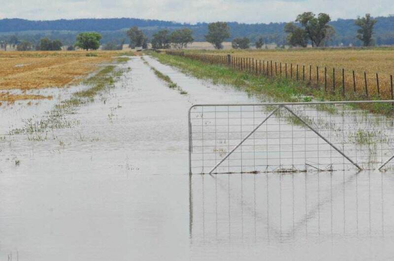 Dampak La Nina ke Tanaman Perkebunan Diantisipasi