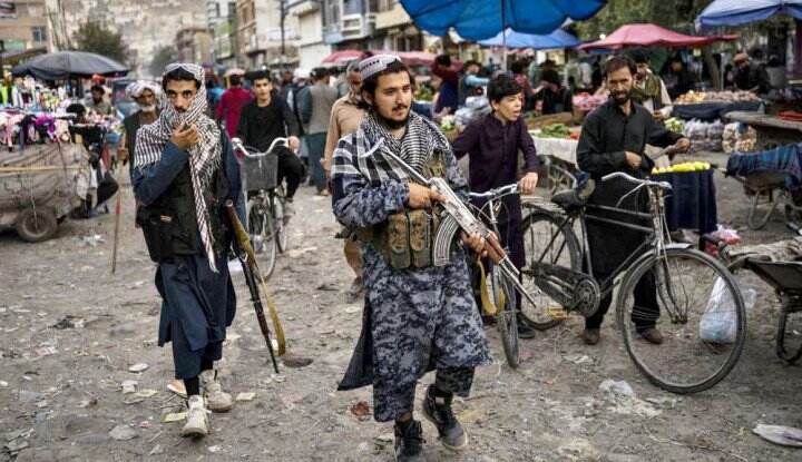 Ganja Bakal Diolah Taliban Bersama Perusahaan Australia Ini