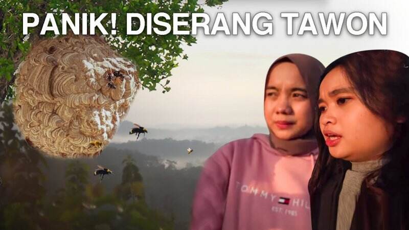 Serangan Tawon Bikin Heboh, Gritte Agatha Sembunyi di Hutan