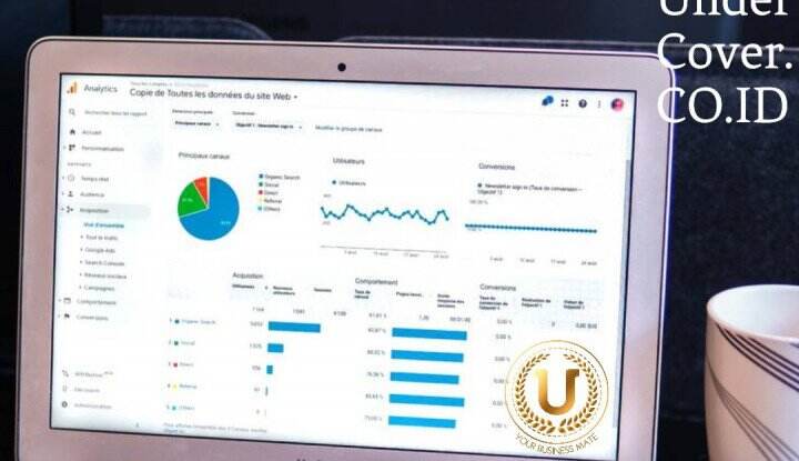 Undercover.co.id Jeli Menguasai Market Bisnis dengan Jasa SEO