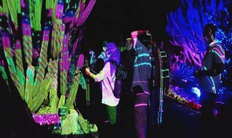 BRIN Kaji Dampak GLOW Terhadap Flora Fauna KRB