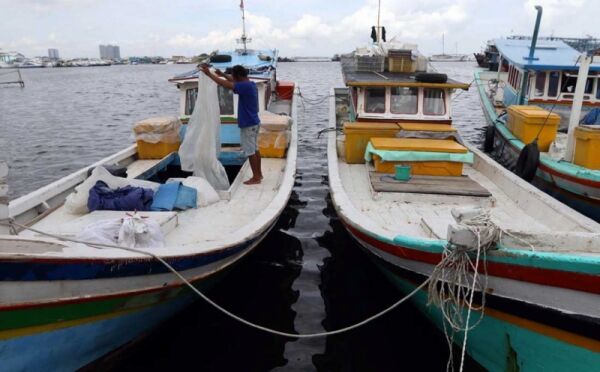 Hari Ikan Nasional, Menko Luhut: Makan Ikan Munculkan Generasi Tangguh