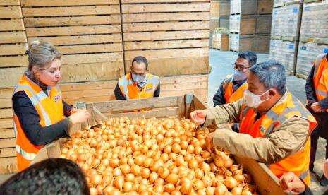 Wacana Kementan Kembangkan Bawang Bombai Indonesia-Belanda