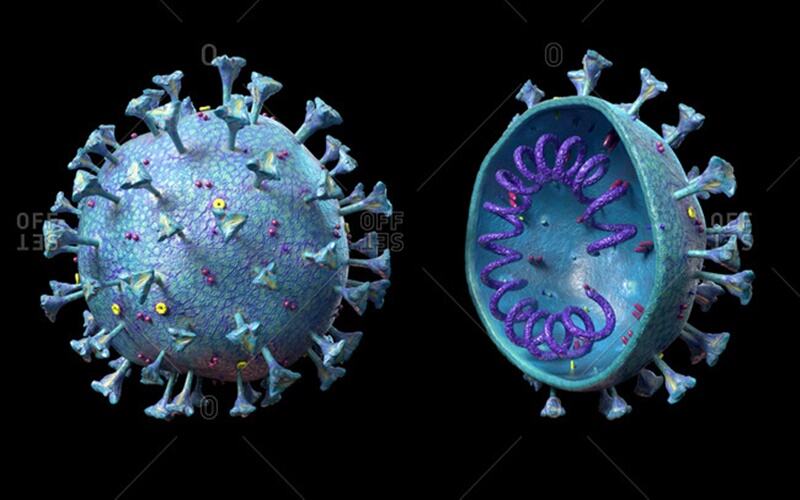 Fakta-fakta Varian Covid B.1.1.529, Virus Corona dengan Jumlah Mutasi yang Tinggi