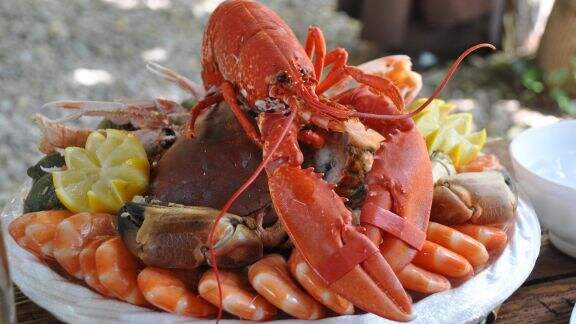 Siapa Bilang Penderita Kolesterol Dilarang Makan Seafood? Ini Tips Aman Makan Udang dan Kepiting yang Wajib Diketahui