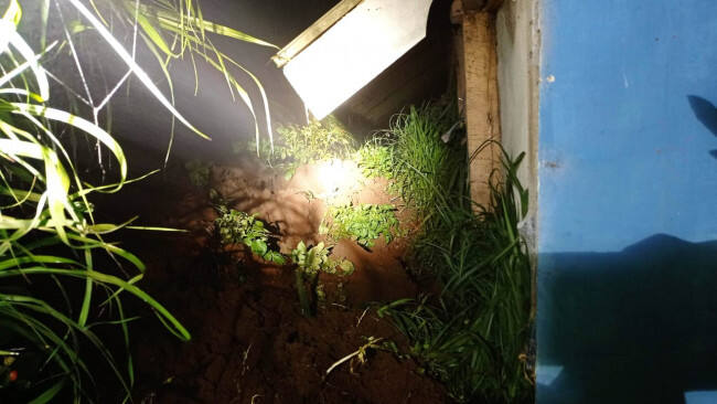 Lagi, Sehari 3 Kejadian Becana Alam di Kota Batu, Tanah Longsor Kepung Warga