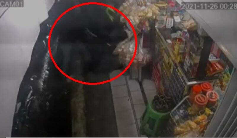 Terekam CCTV, Diduga Geng Motor Serang Warga Sukabumi secara Brutal