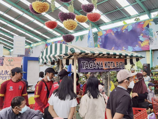 Launching Bank Benih, Tagana Kota Batu Bagikan Mangga Gratis dan Ambil Bijinya