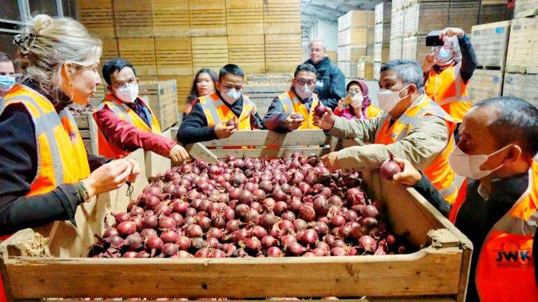 Gelar ODICOFF, Kementan Jajaki Kerja Sama Pengembangan Bawang Bombai RI-Belanda