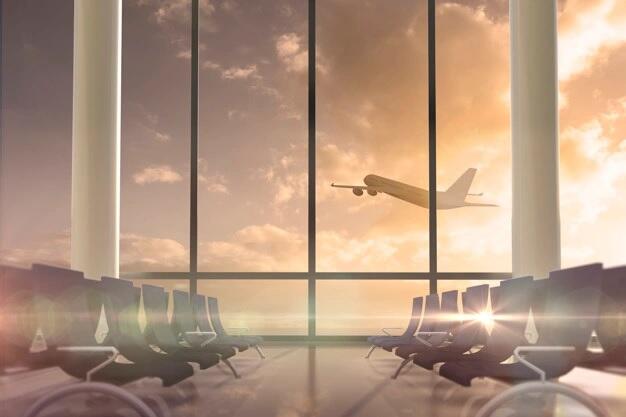 Bandara Eropa Gunakan Babi untuk Atasi Serangan Burung