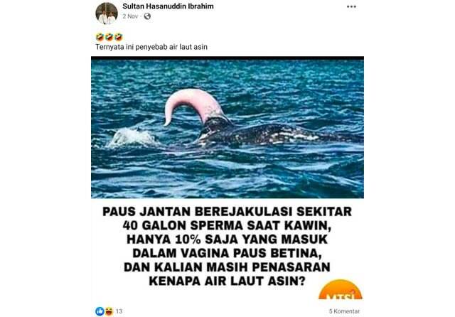 Sperma Ikan Paus Bukan Penyebab Air Laut Asin