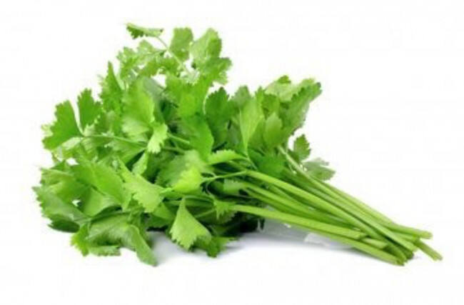Tak Sekedar Penambah Sedap Sayur Sop, Sederet Manfaat Daun Seledri untuk Kesehatan Tubuh