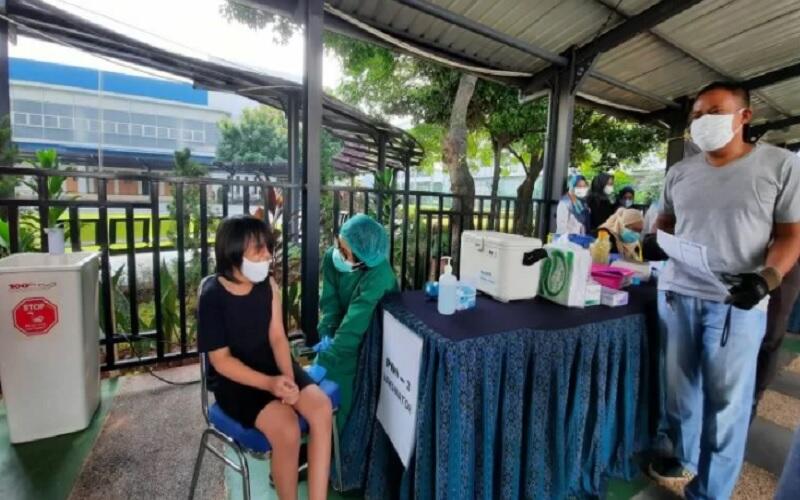 Begini Cara Cek Sertifikat Vaksin Covid-19 untuk Anak 6 - 11 tahun