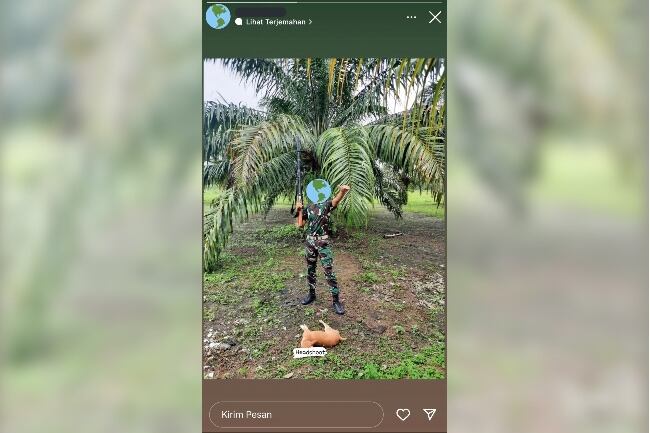 Oknum TNI Diduga Bantai Anjing, Bakal Dilaporkan ke Polisi Militer