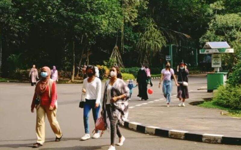 Akhir Pekan, 9.182 Orang Kunjungi Taman Margasatwa Ragunan