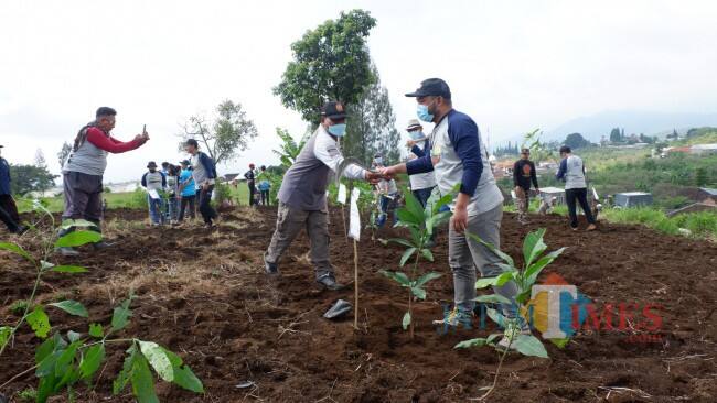 Jaga Lingkungan Kota Batu, KNPI Gerakkan Pemuda Tanam 2.000 Bibit Pohon