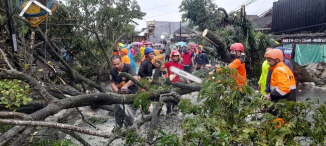 Pohon di Jalan Mohat Timpa Toko Baju, Sehari 17 Titik Bencana di Kota Tasik