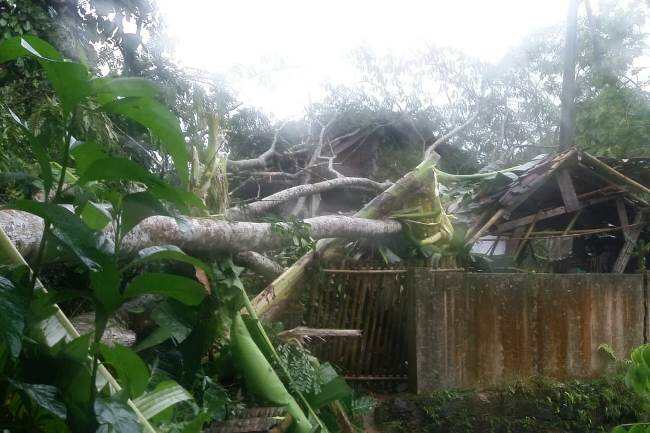 Hujan Es dan Angin Kencang Landa Banyumas, Sejumlah Rumah Rusak dan Warga Terluka