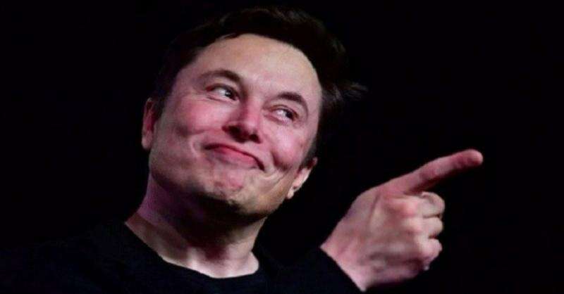 Elon Musk Beberkan Alasan Lebih Dukung Dogecoin dibanding Bitcoin