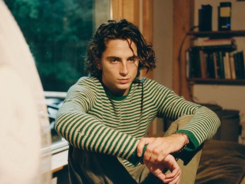 Sempat Casting untuk Peran Spider-Man, Ini 5 Fakta Menarik Lain Timothée Chalamet
