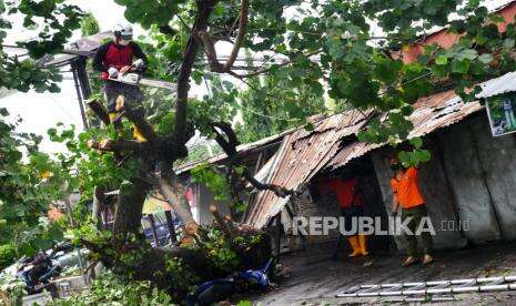 Hujan Deras, Empat Rumah Tertimpa Pohon di Banyumas