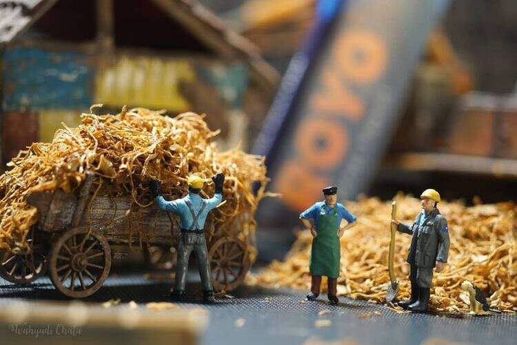 Fotografi Miniatur: Bonanza Memotret Objek Mini yang Hasilkan Cuan