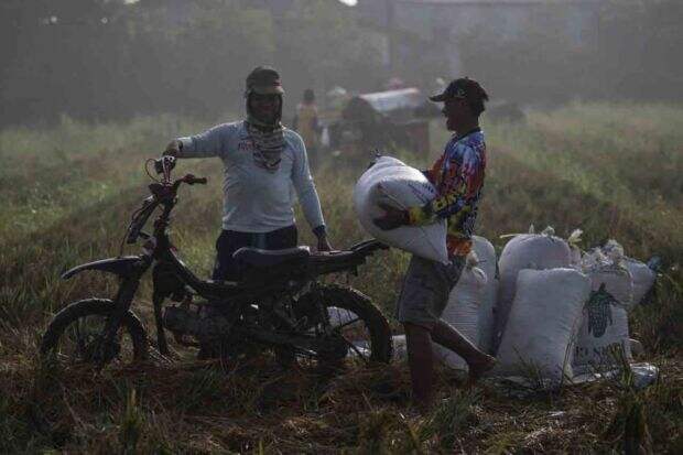 Bulog Serap 1,2 Juta Ton Beras Petani hingga Akhir 2021