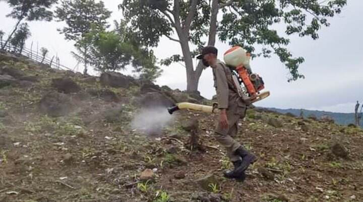 Cegah Bencana, Tanaman Jagung di Hutan Tutupan Negara Dimatikan