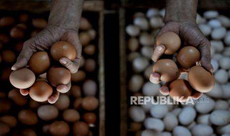 Pemprov Kalbar Musnahkan 1,5 Ton Telur Ayam Arab Ilegal
