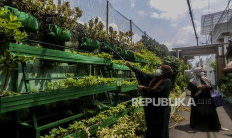 In Picture: Pertanian Vertikal di Tengah Perkotaan