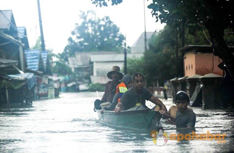 Kalsel Makin Hijau tapi Kerap Banjir, Tutupan Lahan Saja Tak Cukup