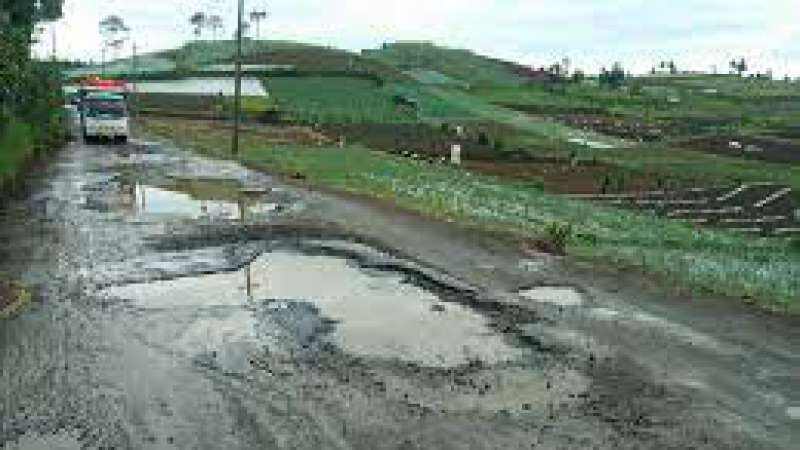 Akses Jalan Rusak, Petani di Brebes Selatan Kesulitan Distribusi Hasil Panen