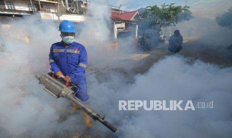 Awal 2022, Puluhan Warga Jatim Terjangkit DBD