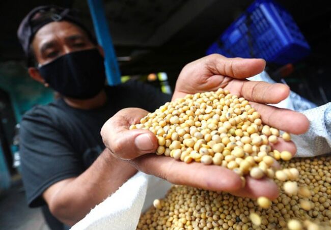 Harga Kedelai Berjangka di Dunia Melejit, Waspada Berefek kepada Pengrajin Tahu dan Tempe