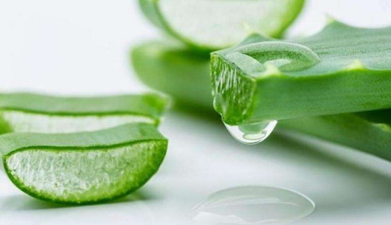 Tips Penggunaan Lidah Buaya untuk Perawatan Kulit