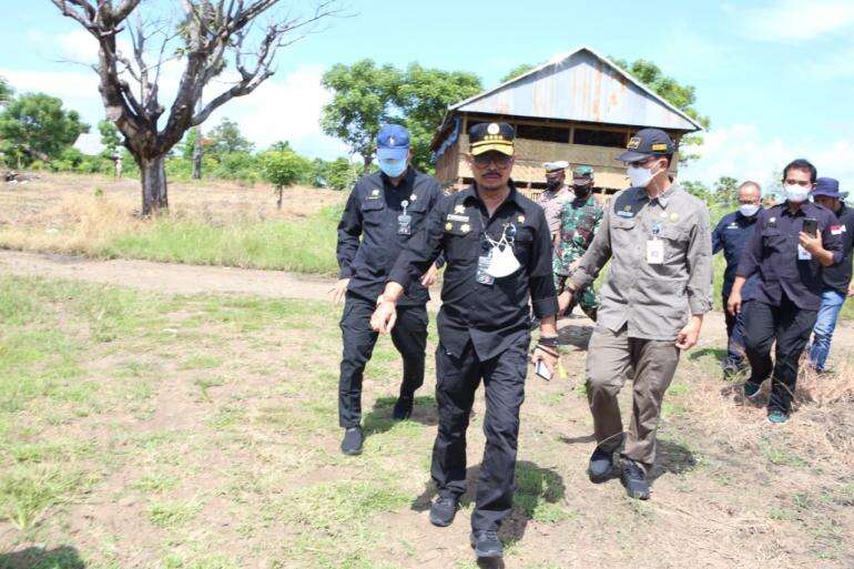 Mentan Pastikan Tanaman Jagung Di Jeneponto Kondisinya Bagus