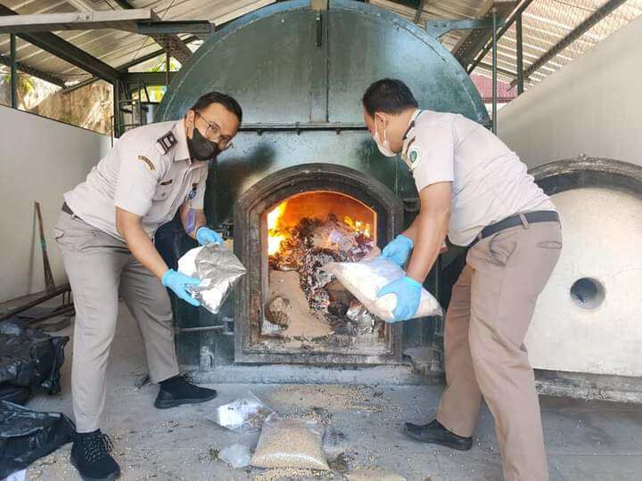 Cegah OPTK, Karantina Pertanian Cilegon Musnahkan Sampel Uji Laboratorium